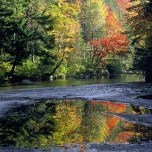   the Swift River, New Hampshire Giclee Poster Print
