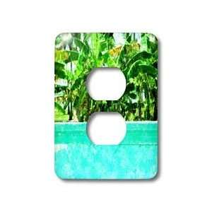   Pool n Palm   Light Switch Covers   2 plug outlet cover Home