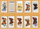 Tobacco cards cigarette cards Butterflies 1932 set  