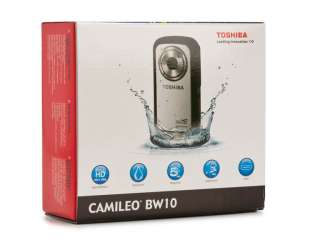 Toshiba Camileo BW10 WaterProof HD 1080P CamCorder Yellow Video 