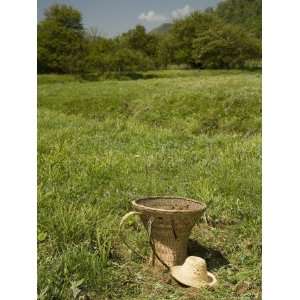  Farmers Straw Basket and Hat Sitting in the Grass in 