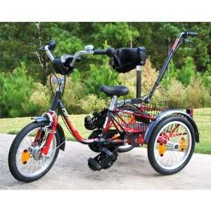  Reha Partner Challenger Therapy Tricycle