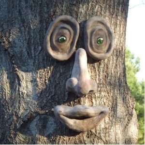  Oakley Tree Face