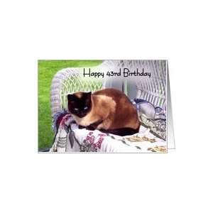   43rd Birthday, Siamese cat on white wicker chair Card Toys & Games